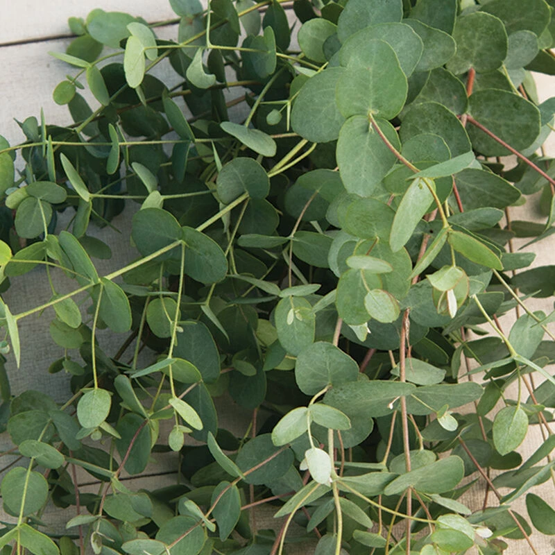 Silver Drop 3 Silver Drop