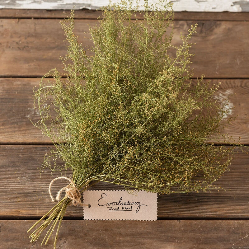 Sweet Annie 4 Sweet Annie - Image 2