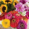 Cut Flower Kit For Market Growers -Johnnyseeds Sales Shop 01783 01 cut flower kit