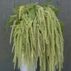 Emerald Tassels -Johnnyseeds Sales Shop 01786 01 emerald tassels
