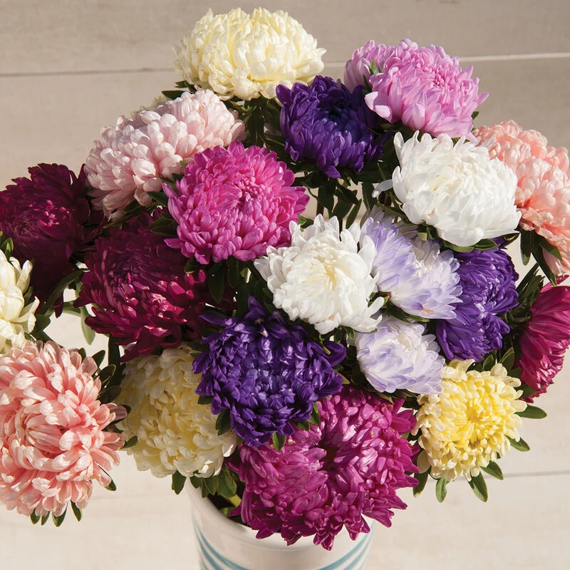 Tower Custom Mix 3 Tower Custom Mix