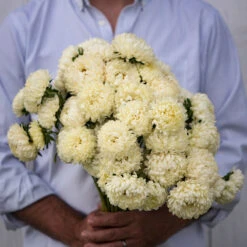 Tower Yellow -Johnnyseeds Sales Shop 03324 02 tower yellow