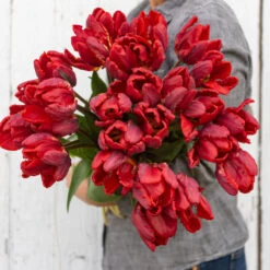 Rococo 11 Rococo -Johnnyseeds Sales Shop 03497 03 rococo