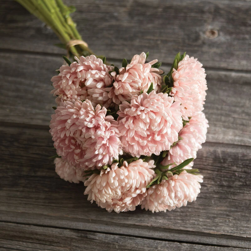 Tower Chamois 3 Tower Chamois