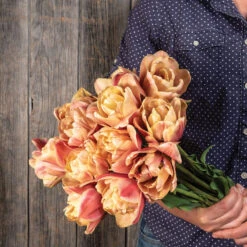 La Belle Epoque -Johnnyseeds Sales Shop 04057 04 labelleepoque