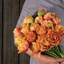 Sensual Touch -Johnnyseeds Sales Shop 04058 04 sensual touch