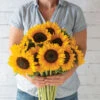 Sunrich Summer Provence -Johnnyseeds Sales Shop 04410 01 summerprovence