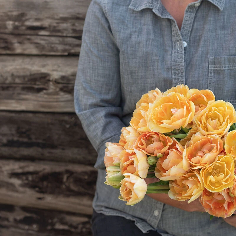 Charming Beauty 4 Charming Beauty - Image 2