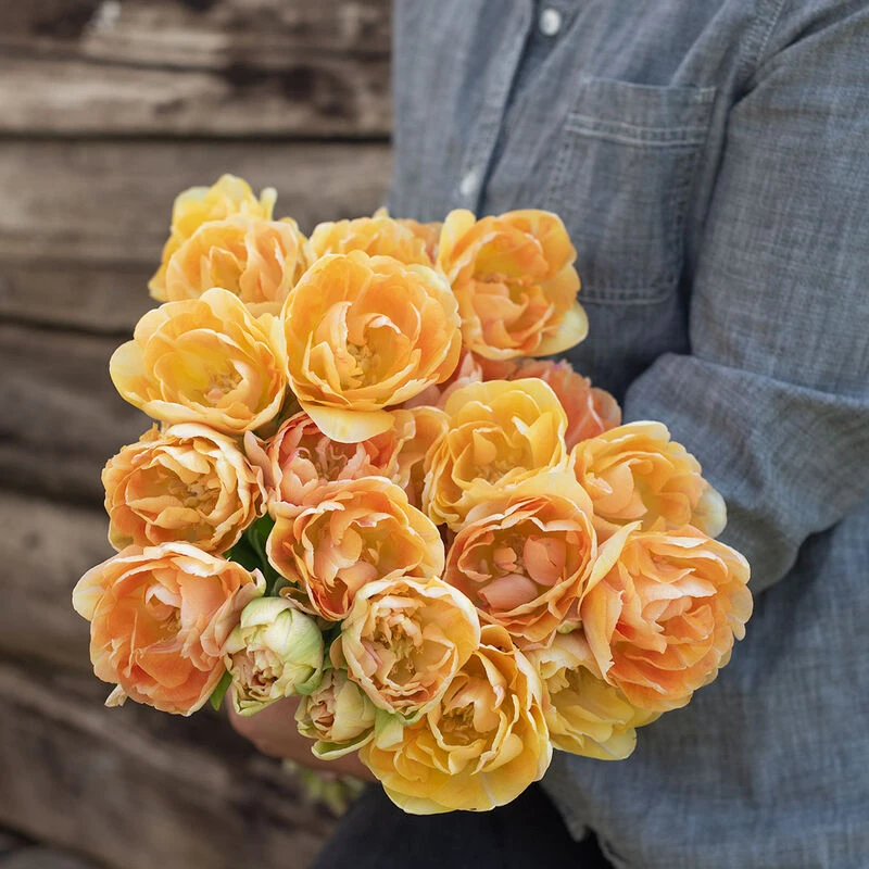 Charming Beauty 5 Charming Beauty - Image 3