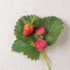 Summer Breeze Cherry Blossom -Johnnyseeds Sales Shop 05076 01 summer breeze cherry blossom strawberry