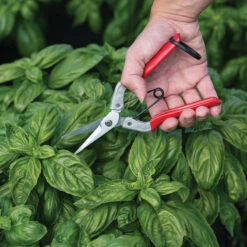 Johnny's Needle Nose Shears -Johnnyseeds Sales Shop 06252 02 needle nose shears with leather case