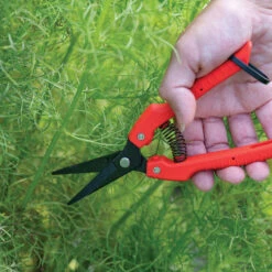 Johnny's Floral Shears -Johnnyseeds Sales Shop 06253 02 jss floral shears