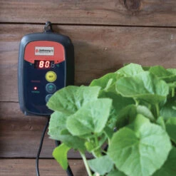 Heat Mat Temperature Controller -Johnnyseeds Sales Shop 06277 02 digitaltemperaturecontroller