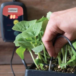 Heat Mat Temperature Controller -Johnnyseeds Sales Shop 06277 03 digitaltemperaturecontroller