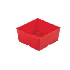Polypro 5x5 Insert Pots – Red, 24 Count