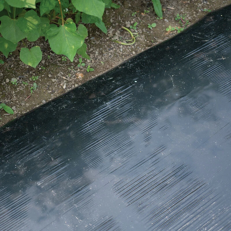 Solar Shrink – 48" X 4,000' 3 Solar Shrink – 48" X 4,000'