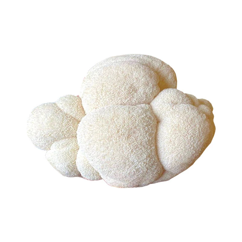 Lion's Mane 'Spray & Grow' Kit 3 Lion's Mane 'Spray & Grow' Kit