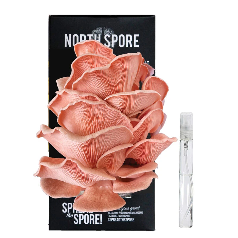 Pink Oyster 'Spray & Grow' Kit 3 Pink Oyster 'Spray & Grow' Kit - Image 2