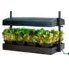 SunBlaster Growlight Garden 1 SunBlaster Growlight Garden -Johnnyseeds Sales Shop 06743 01 growlight garden