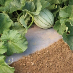 WeedGuardPlus® Paper Mulch – 24" X 100'