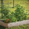 Cedar Raised Garden Bed – 3' X 6' 1 Cedar Raised Garden Bed – 3' X 6' -Johnnyseeds Sales Shop 06798 01 cedarraisedbed