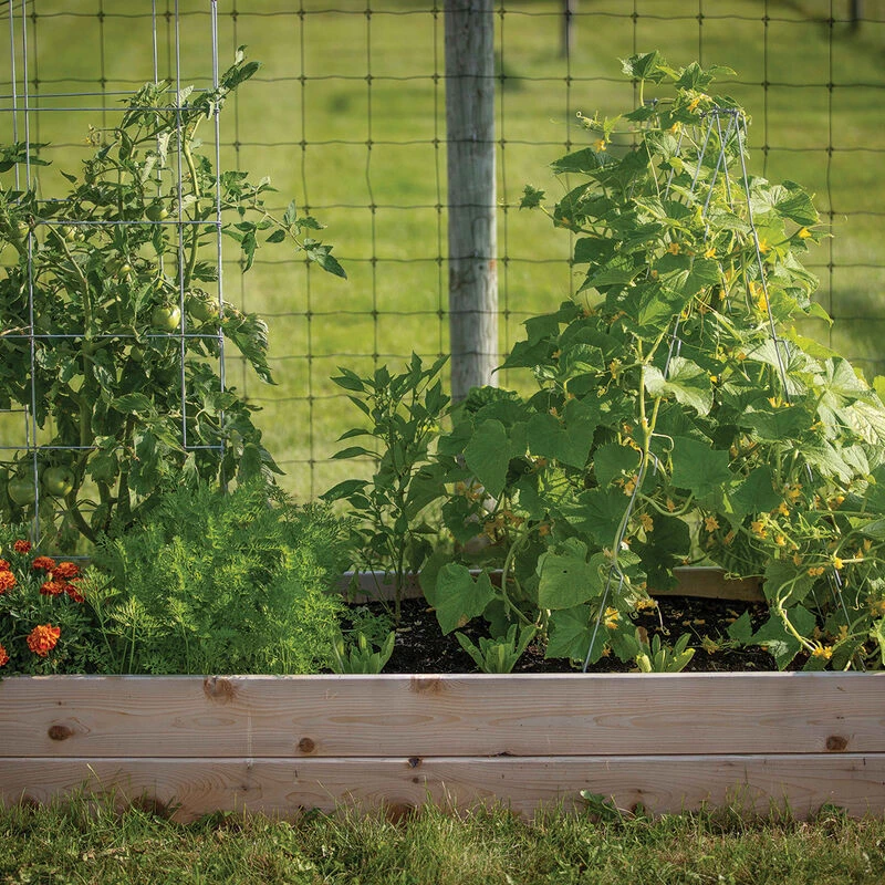 Cedar Raised Garden Bed – 3' X 6' 4 Cedar Raised Garden Bed – 3' X 6' - Image 2