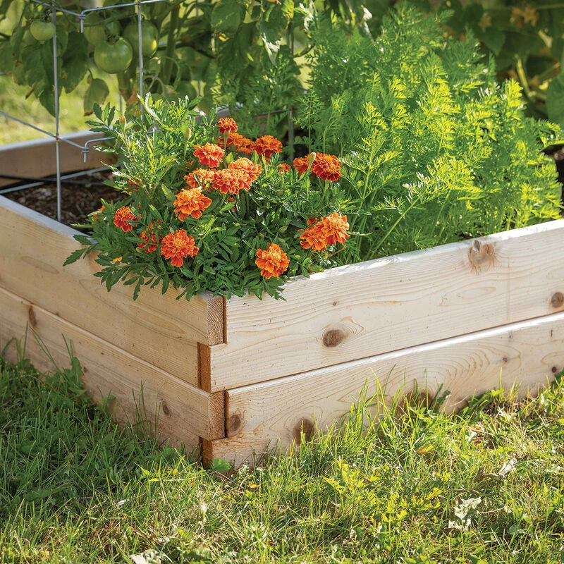 Cedar Raised Garden Bed – 3' X 6' 5 Cedar Raised Garden Bed – 3' X 6' - Image 3