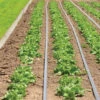 Johnny's Drip Irrigation Kit – 1,000' -Johnnyseeds Sales Shop 06982 01 drip kit
