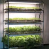 Full-Size Seedling Light Cart – 16 Trays, 512 Watts -Johnnyseeds Sales Shop 07026 02 16trayseedlinglightcart 1