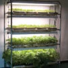Full-Size Seedling Light Cart – 16 Trays, 640 Watts -Johnnyseeds Sales Shop 07026 02 16trayseedlinglightcart 2