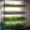Full-Size Seedling Light Cart – 12 Trays, 384 Watts -Johnnyseeds Sales Shop 07026 02 16trayseedlinglightcart 3