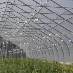 Rollerhook® – 25 Count 7 Rollerhook® – 25 Count -Johnnyseeds Sales Shop 07047 02 rollerhookgreenhouse