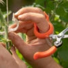 Hands-Free Pruning Shears – Stainless Steel -Johnnyseeds Sales Shop 07275 01 handsfreepruningscissors