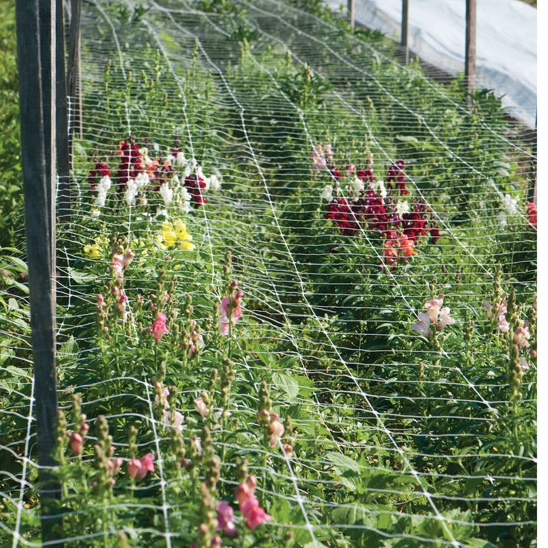 Hortonova FA – 42" X 328' 3 Hortonova FA – 42" X 328'