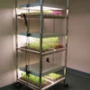 Compact Seedling Light Cart – 6 Trays, 240 Watts -Johnnyseeds Sales Shop 07296 01 compactsdlng light cart 1