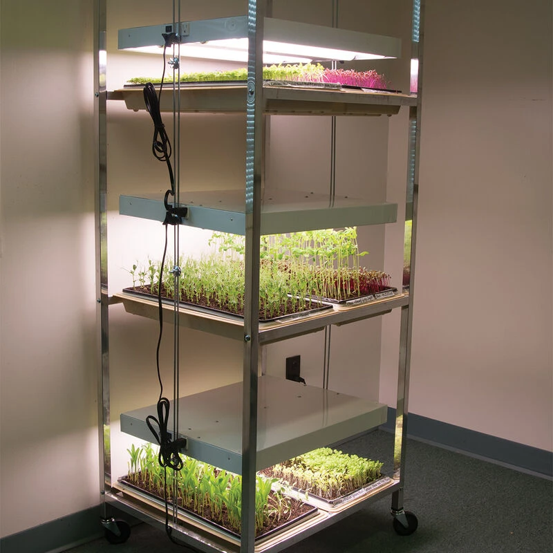 Compact Seedling Light Cart – 6 Trays, 240 Watts 3 Compact Seedling Light Cart – 6 Trays, 240 Watts