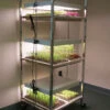 Compact Seedling Light Cart – 6 Trays, 120 Watts -Johnnyseeds Sales Shop 07296 01 compactsdlng light cart