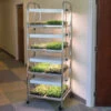 Compact Seedling Light Cart – 8 Trays, 160 Watts