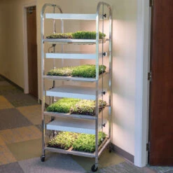 Compact Seedling Light Cart – 8 Trays, 160 Watts