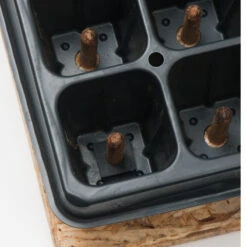 50 Cell Plug Popper -Johnnyseeds Sales Shop 07342 03 plugpopper50