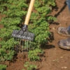 Tine Weeding Rake – 6" -Johnnyseeds Sales Shop 07410 01 tineweedingrake6inwide