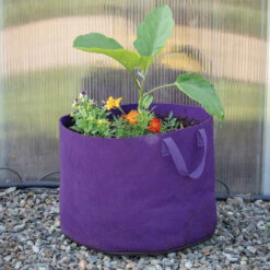 Smart Pot® Vivid Color, Violet – 15 Gal. -Johnnyseeds Sales Shop 07526 02 violet
