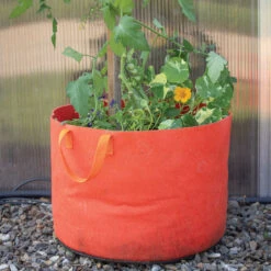 Smart Pot® Vivid Color, Mandarin Orange – 15 Gal. -Johnnyseeds Sales Shop 07528 02 oragne