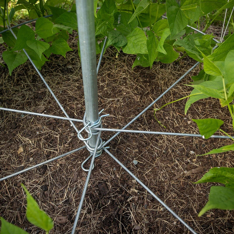 Bean Tower – 60" 4 Bean Tower – 60" - Image 2