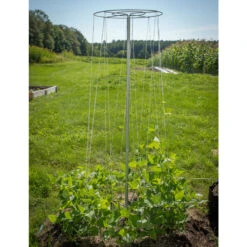Bean Tower – 60" 10 Bean Tower – 60" -Johnnyseeds Sales Shop 07540 04 beantower