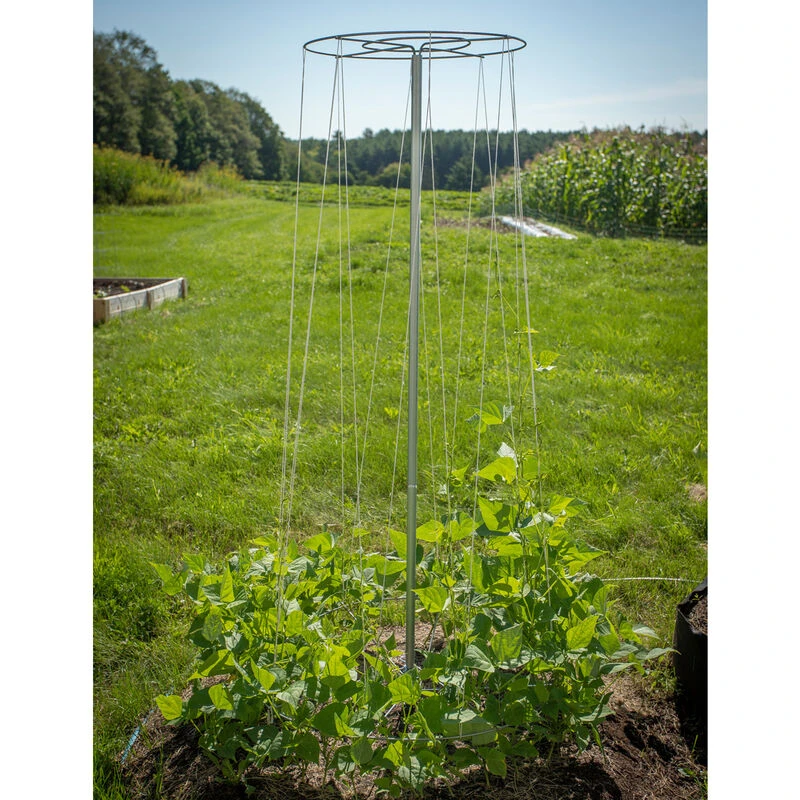 Bean Tower – 60" 6 Bean Tower – 60" - Image 4