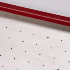 Seed Plate B264 -Johnnyseeds Sales Shop 07658 02 b264