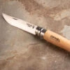 Opinel No. 10 Pocket Knife 2 Opinel No. 10 Pocket Knife -Johnnyseeds Sales Shop 07704 01 opinel 4in
