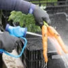 Cold Weather Wash Station Gloves – S -Johnnyseeds Sales Shop 07709 01 gold glovess