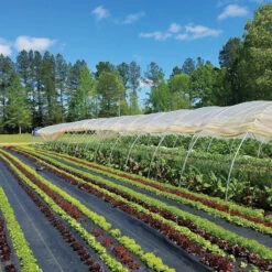 Sunbelt Black Ground Cover – 6' X 300'